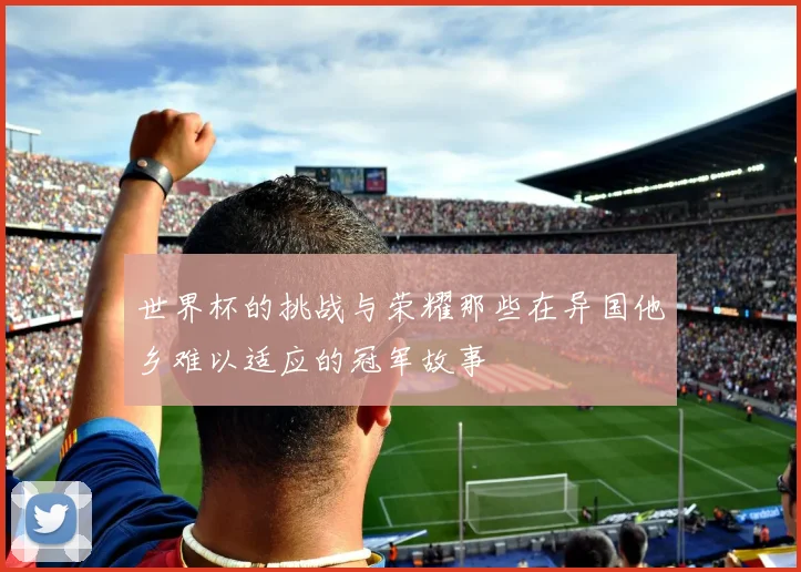 世界杯的挑战与荣耀那些在异国他乡难以适应的冠军故事
