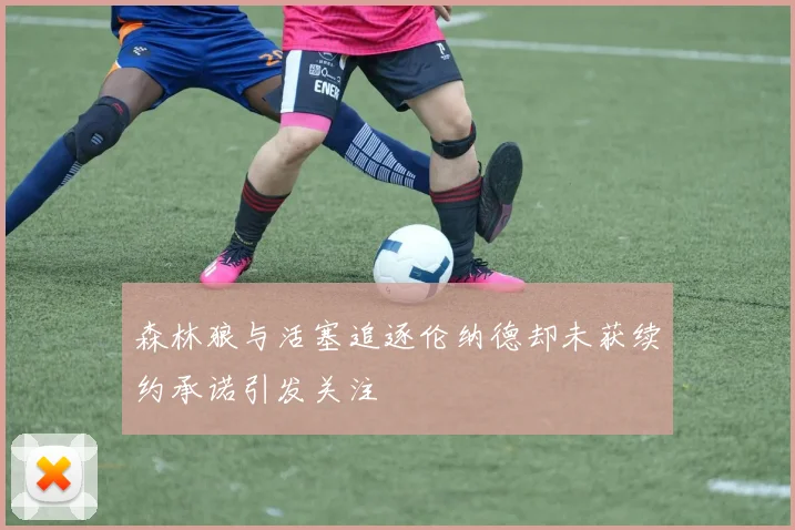森林狼与活塞追逐伦纳德却未获续约承诺引发关注